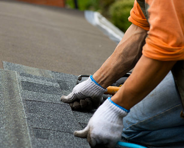 Best Roof Repair Services  in Meraux, LA